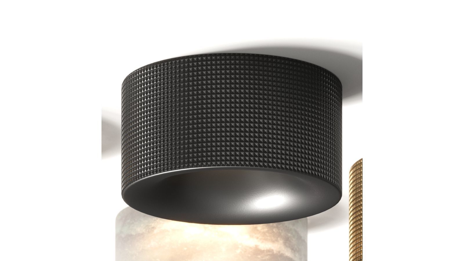 Aromas del Campo Focus Spotlight 3D model_1