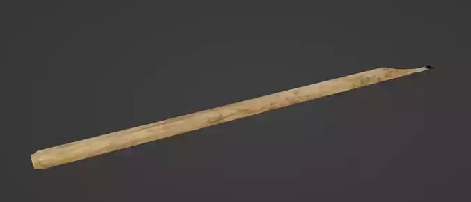 Calligrapher pen and feather quill