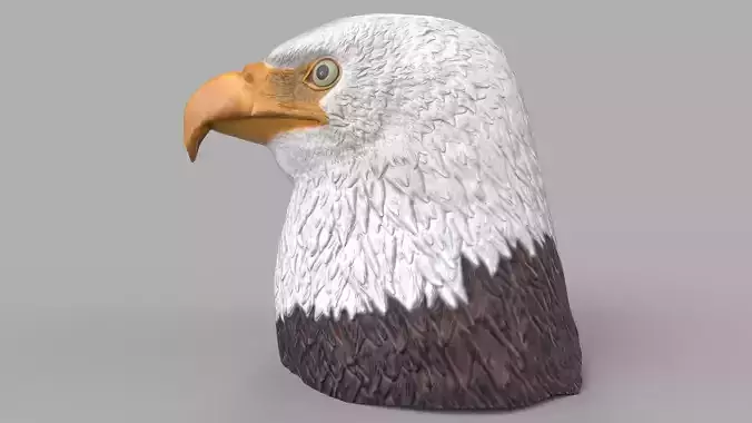 eagle head