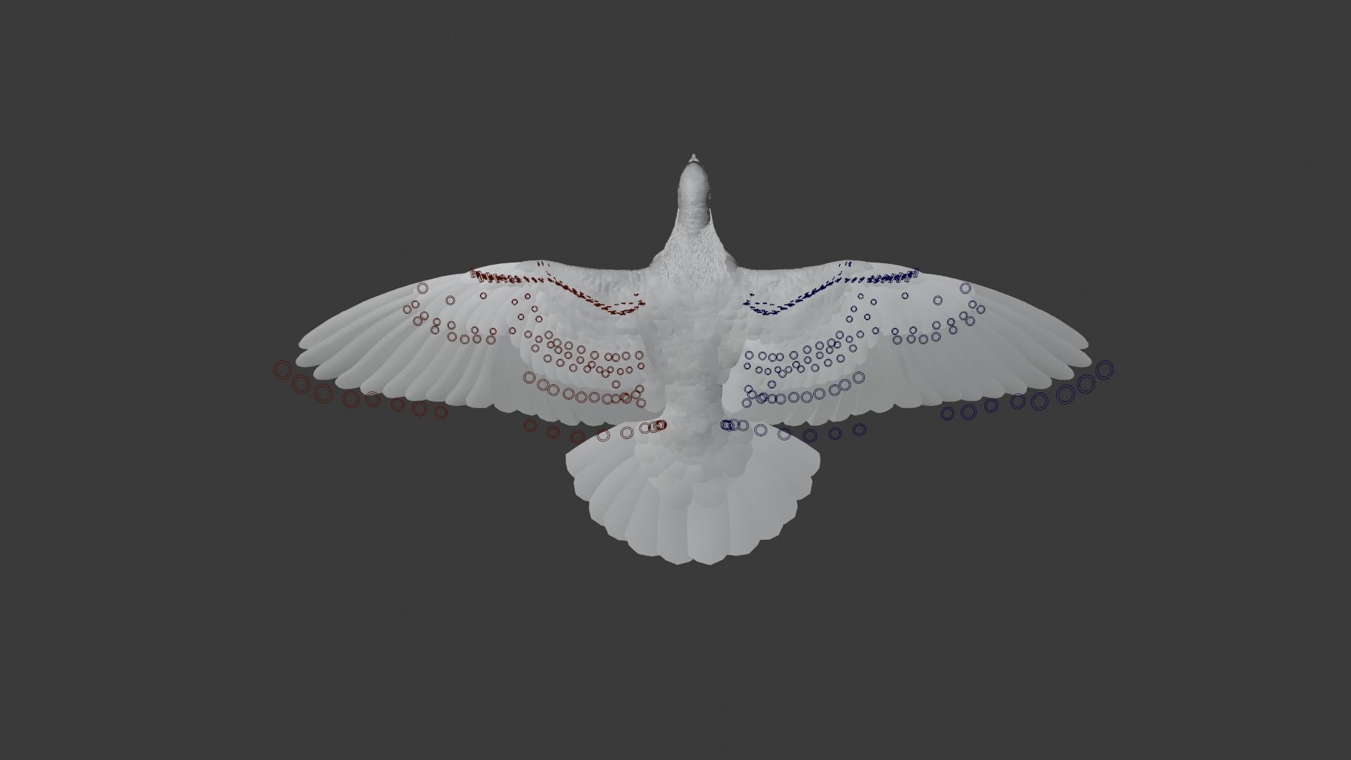 Pigeon Animated VFX Grace 3D model_19