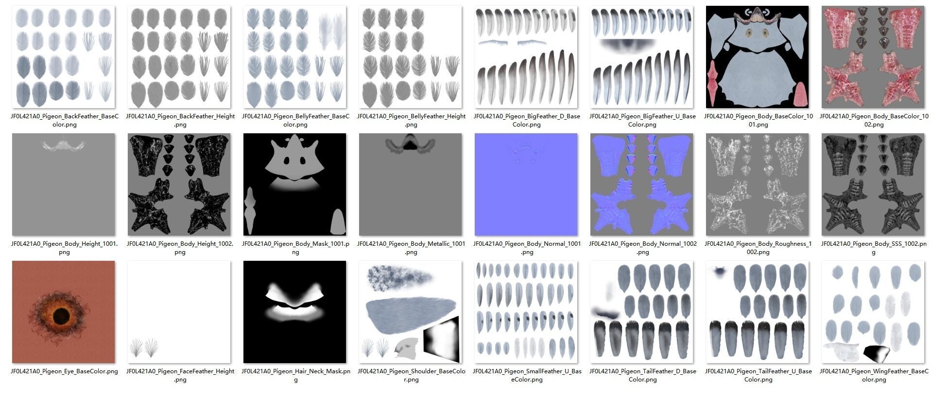 Pigeon Animated VFX Grace 3D model_26