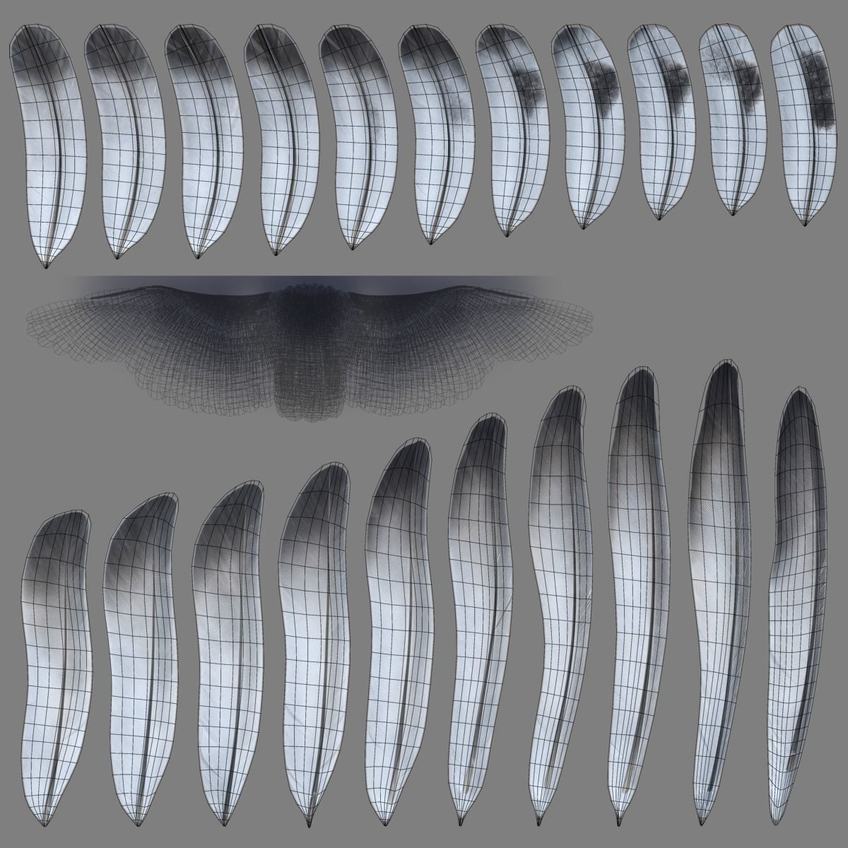 Pigeon Animated VFX Grace 3D model_27