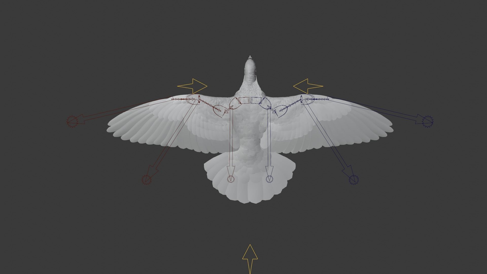 Pigeon Animated VFX Grace 3D model_21