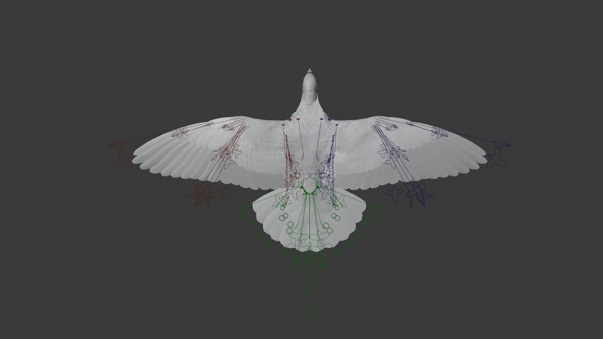 Pigeon Animated VFX Grace 3D model_20