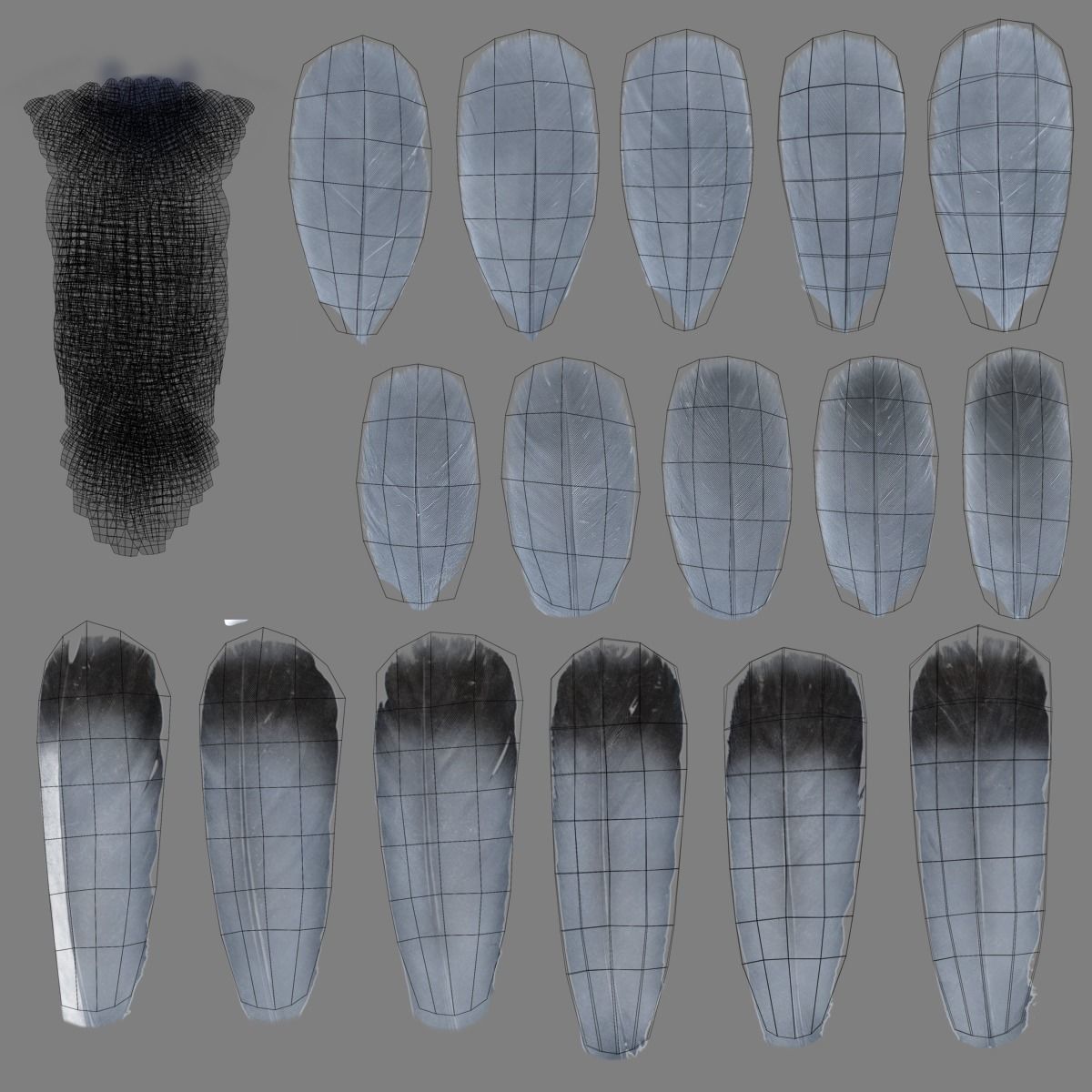 Pigeon Animated VFX Grace 3D model_30