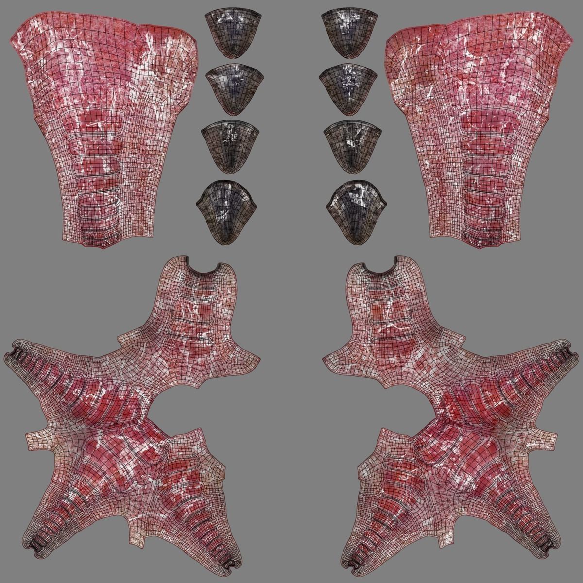 Pigeon Animated VFX Grace 3D model_28