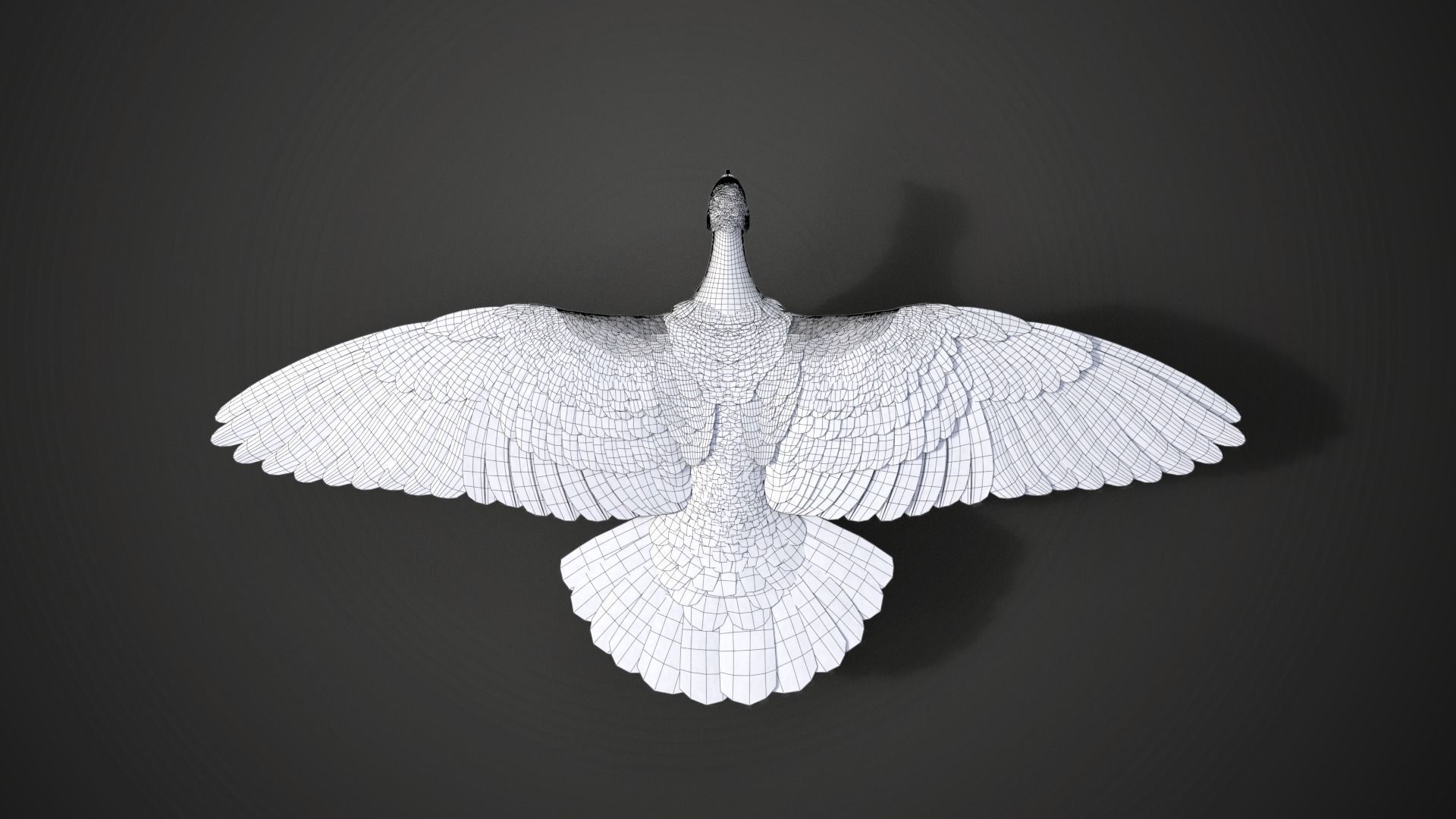 Pigeon Animated VFX Grace 3D model_25