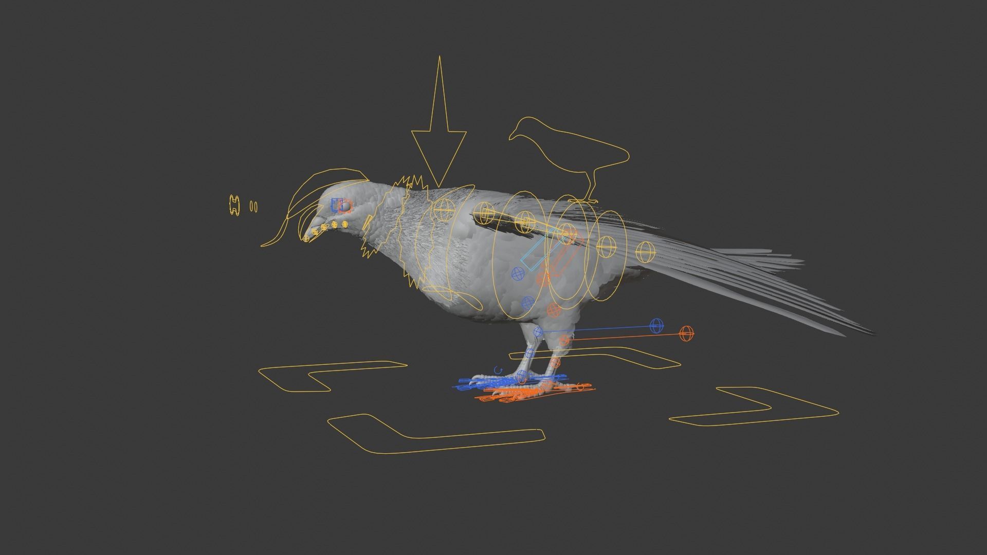 Pigeon Animated VFX Grace 3D model_17
