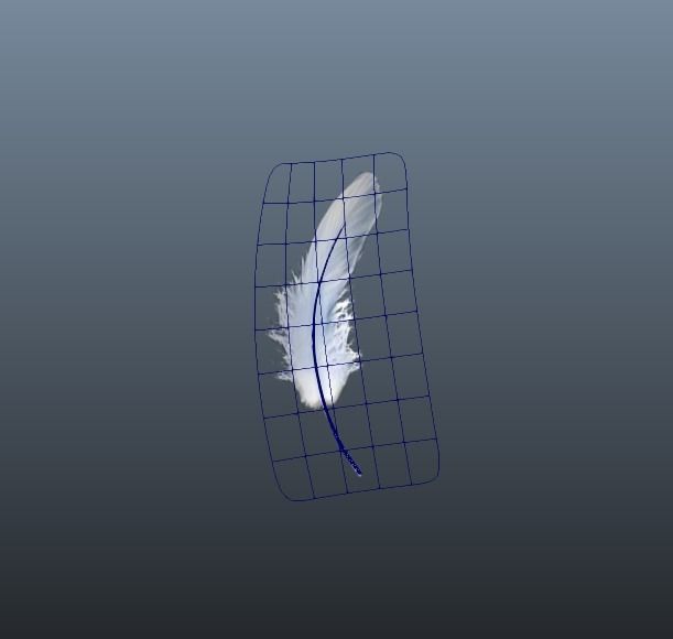 Feather animation  wing fly float plume pinna indumentum 3D model_5