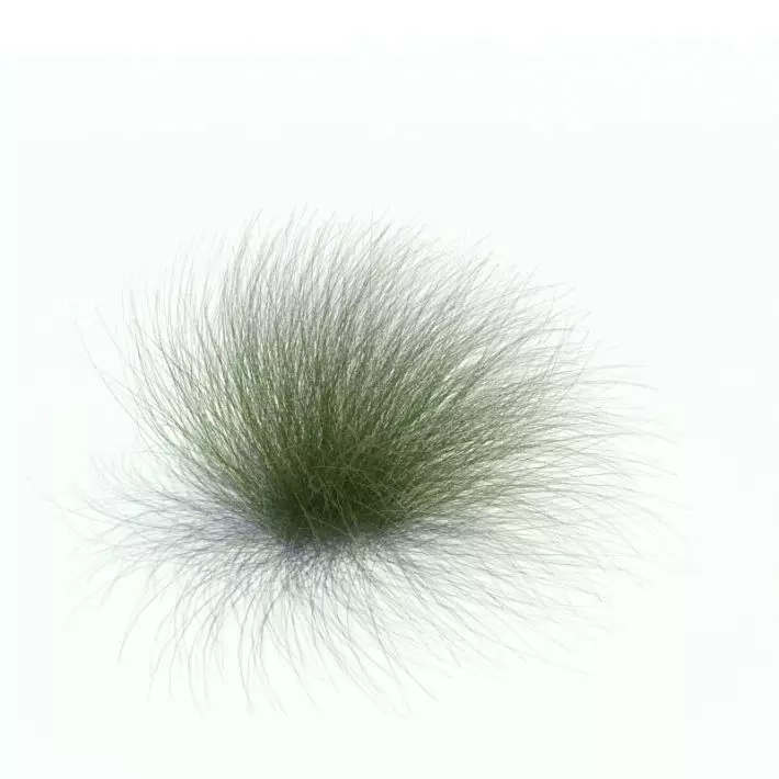 Green Brush Grass 3D model_0