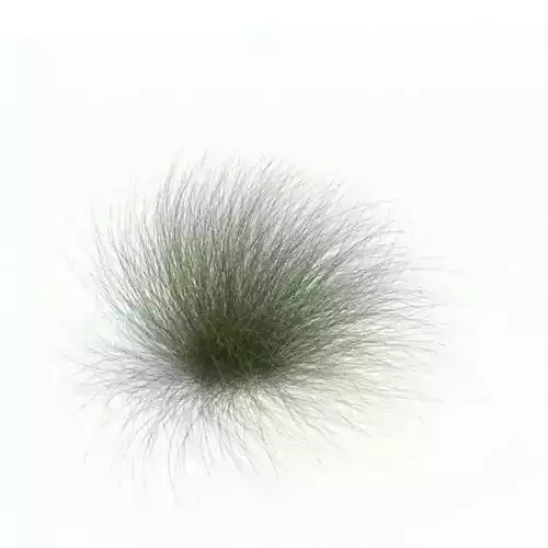 Green Brush Grass 3D model
