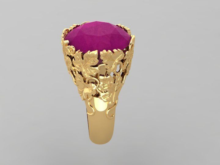 CyC rings 3D print model_2