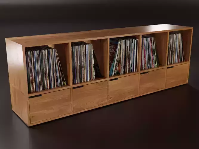 Vinyl Storage No29