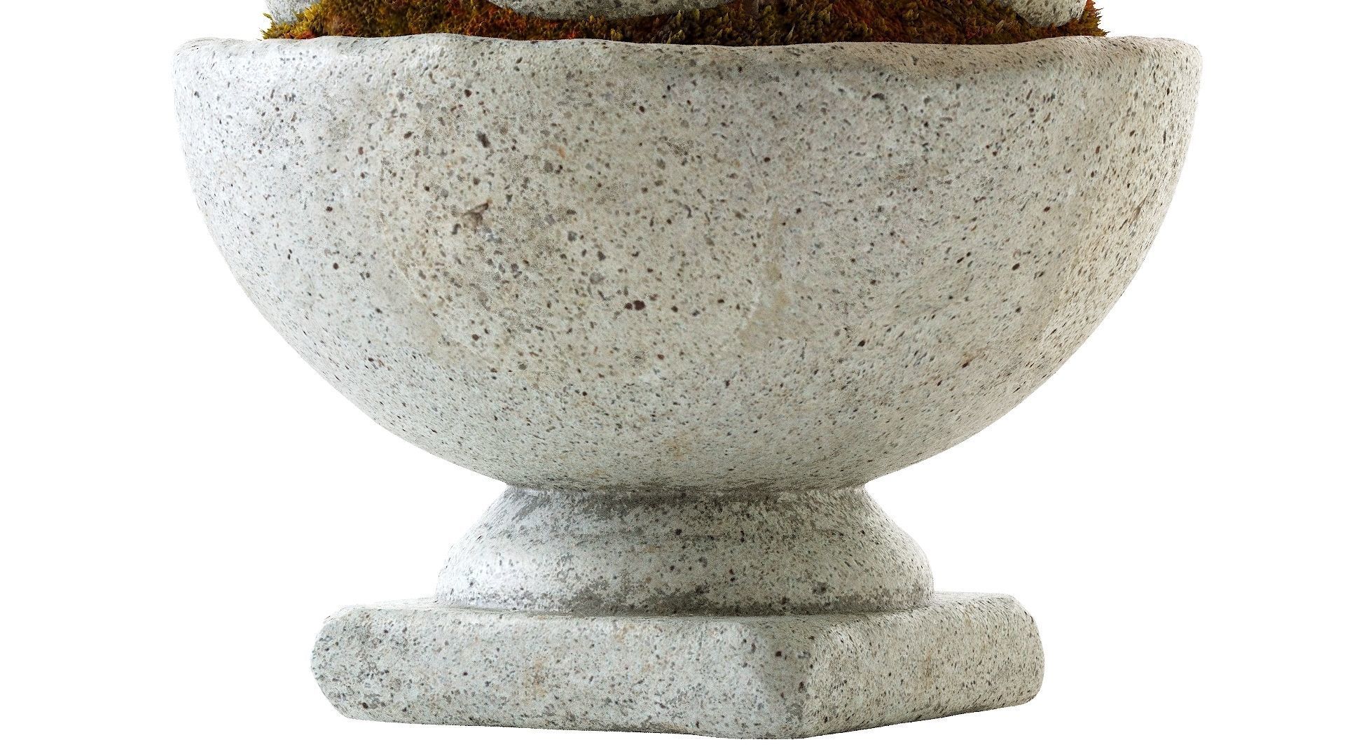 Hand Cast Hypertufa Centerpiece with Preserved Moss   3D model_11