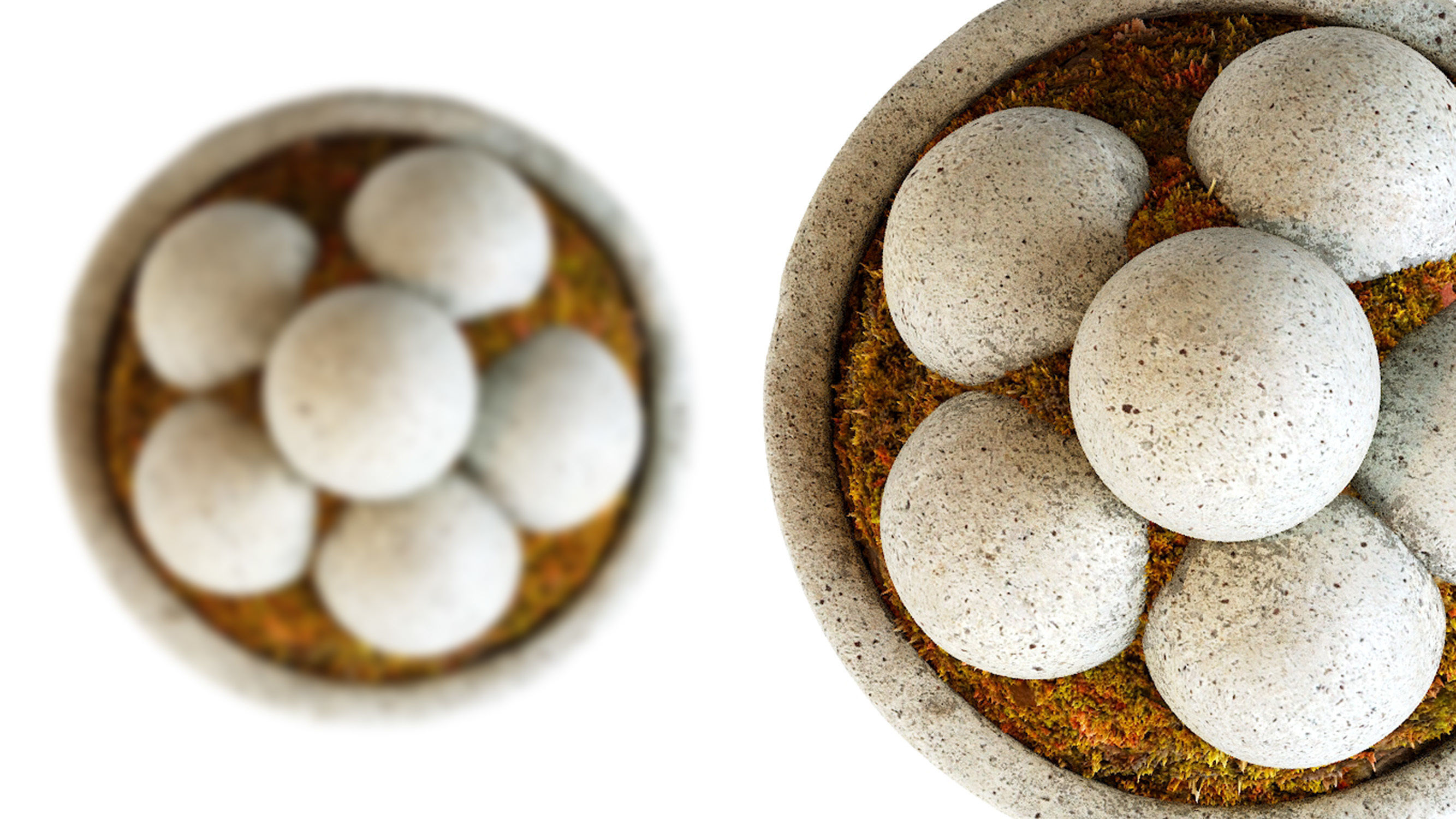 Hand Cast Hypertufa Centerpiece with Preserved Moss   3D model_1