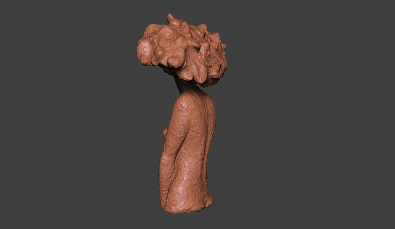 Clay Bust 3D print model_7