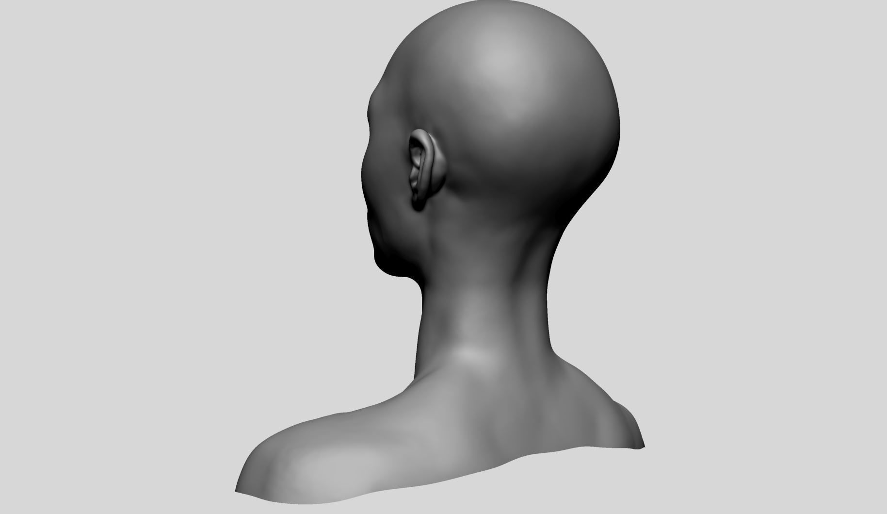 Female Head Basemesh v2 3D model_5
