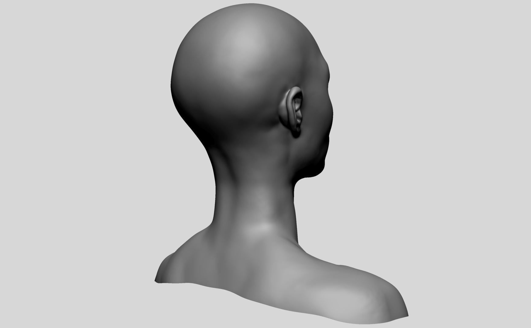 Female Head Basemesh v2 3D model_3