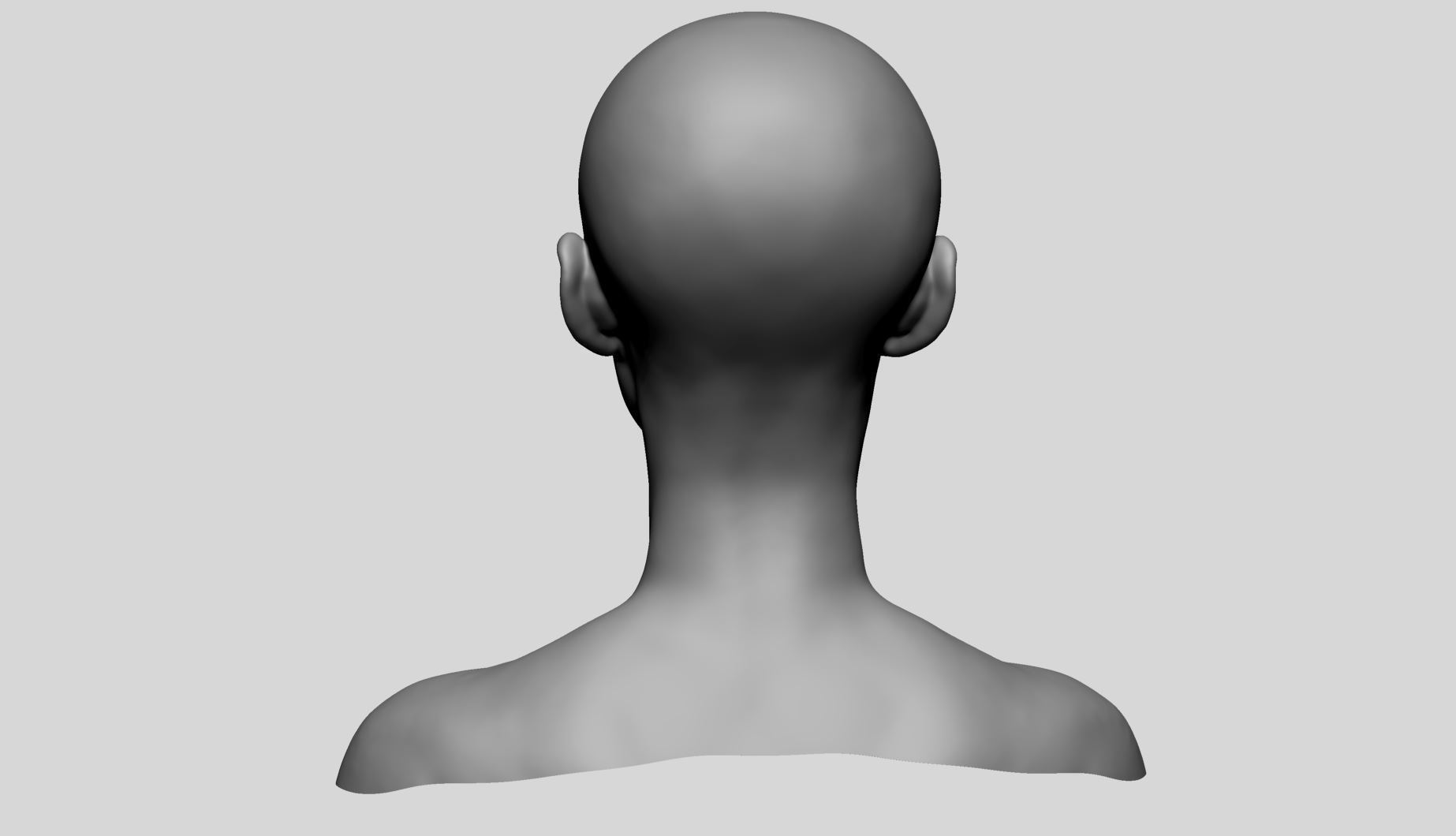 Female Head Basemesh v2 3D model_4