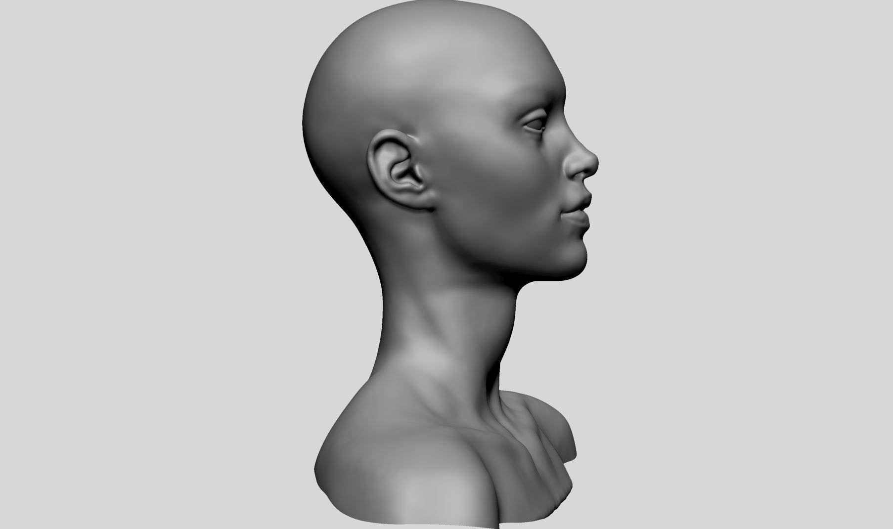 Female Head Basemesh v2 3D model_2