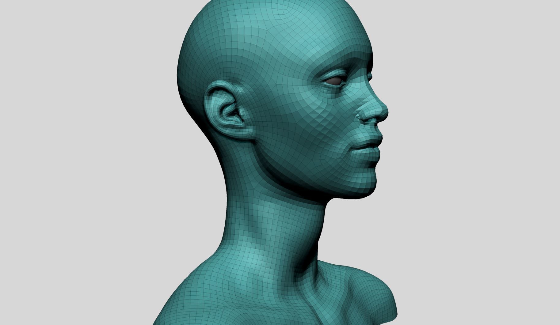 Female Head Basemesh v2 3D model_12