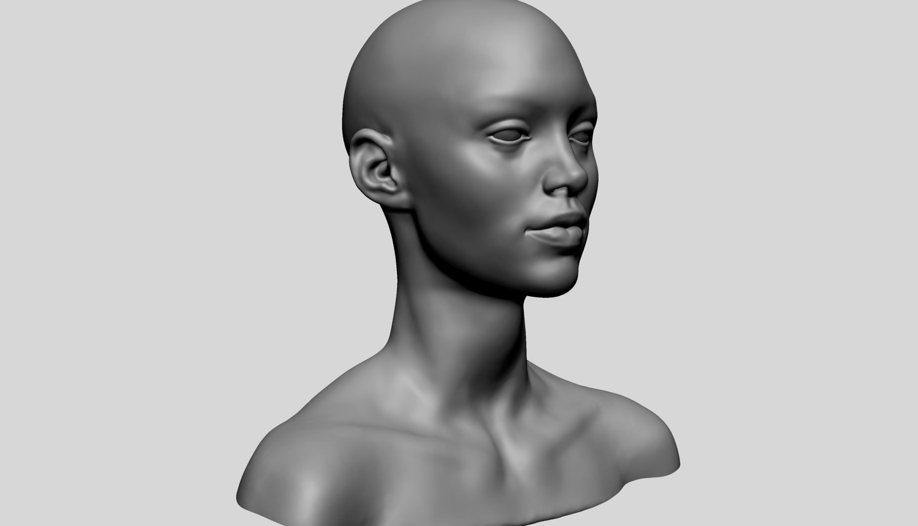 Female Head Basemesh v2 3D model_1