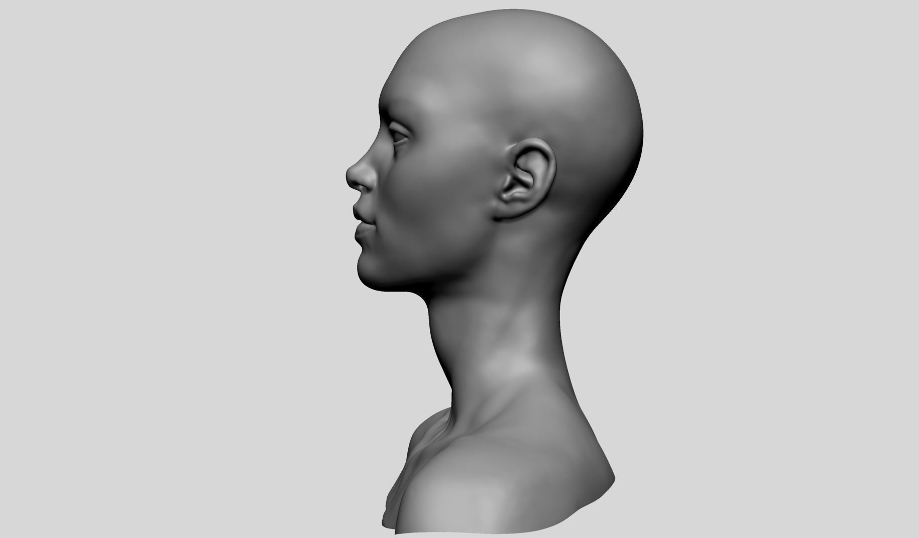 Female Head Basemesh v2 3D model_6