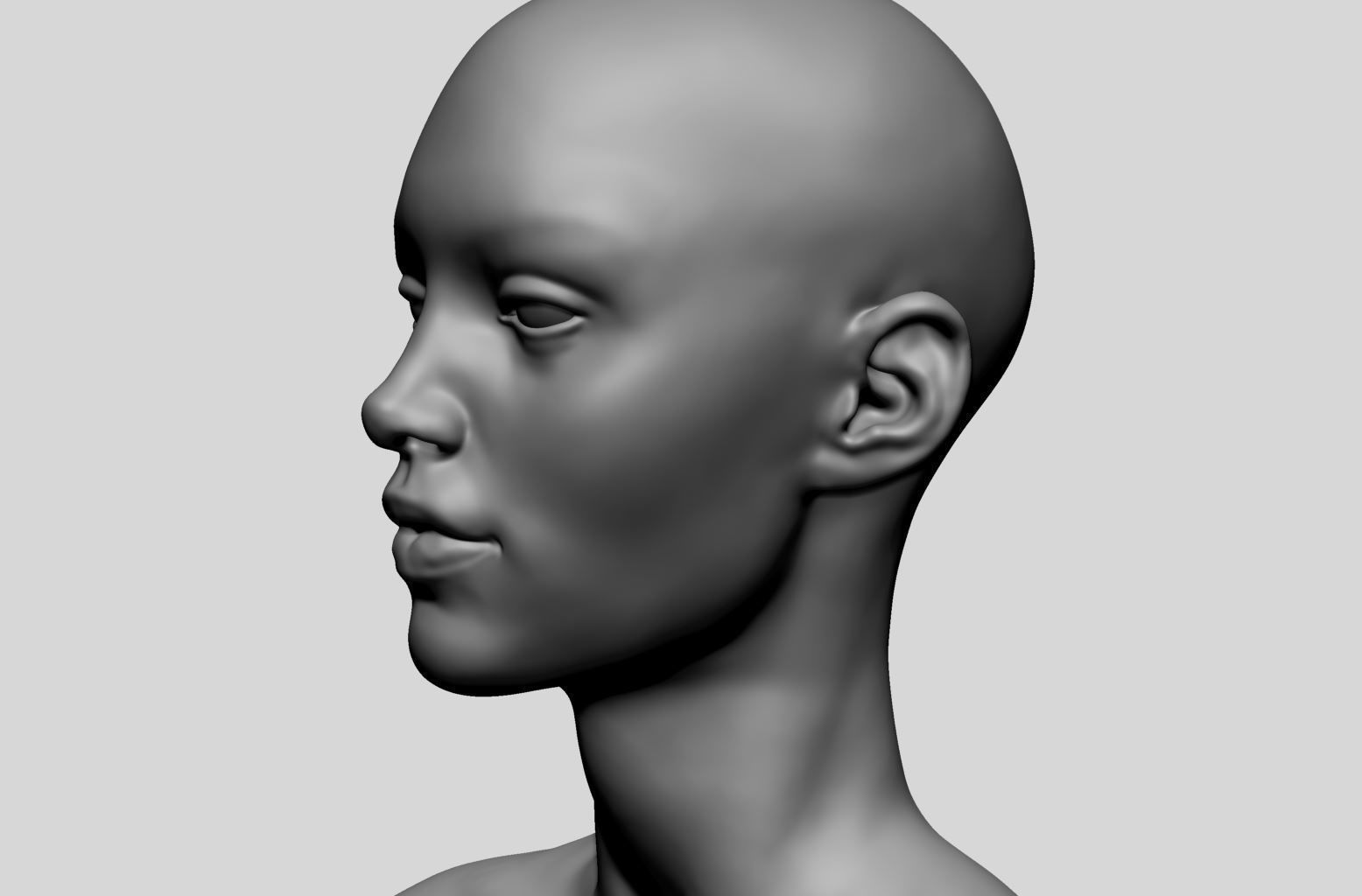 Female Head Basemesh v2 3D model_10
