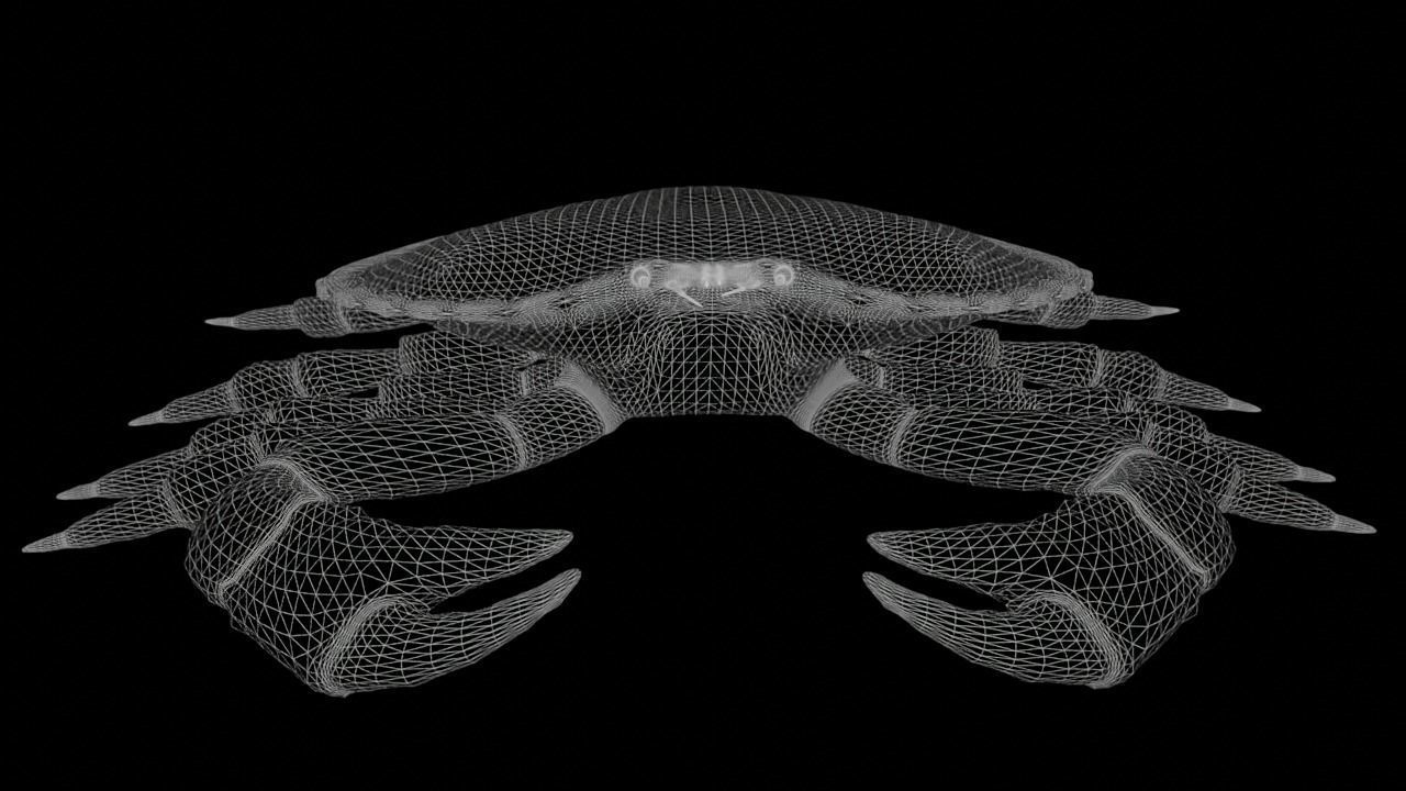 Brown Crab Rigged And Animated Low-poly 3D model_13