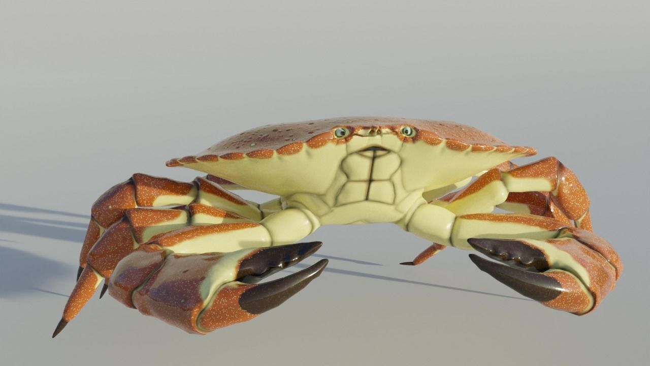 Brown Crab Rigged And Animated Low-poly 3D model_2