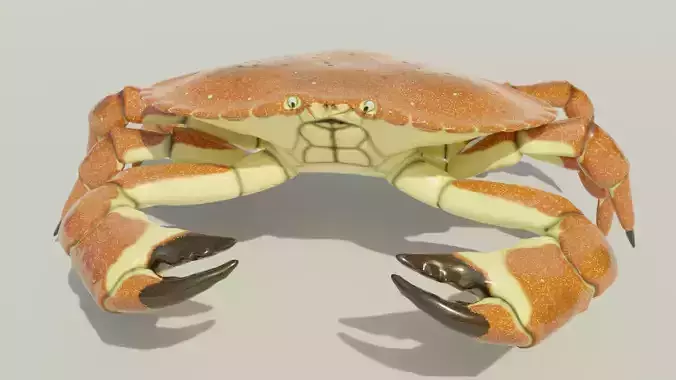 Brown Crab Rigged And Animated Low-poly 3D model