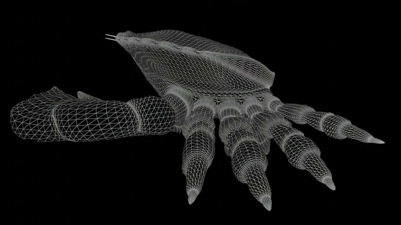 Brown Crab Rigged And Animated Low-poly 3D model_14