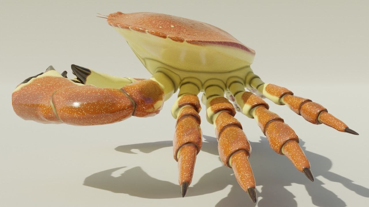 Brown Crab Rigged And Animated Low-poly 3D model_10