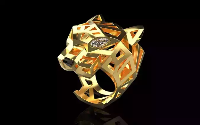 jewelry ring with stones