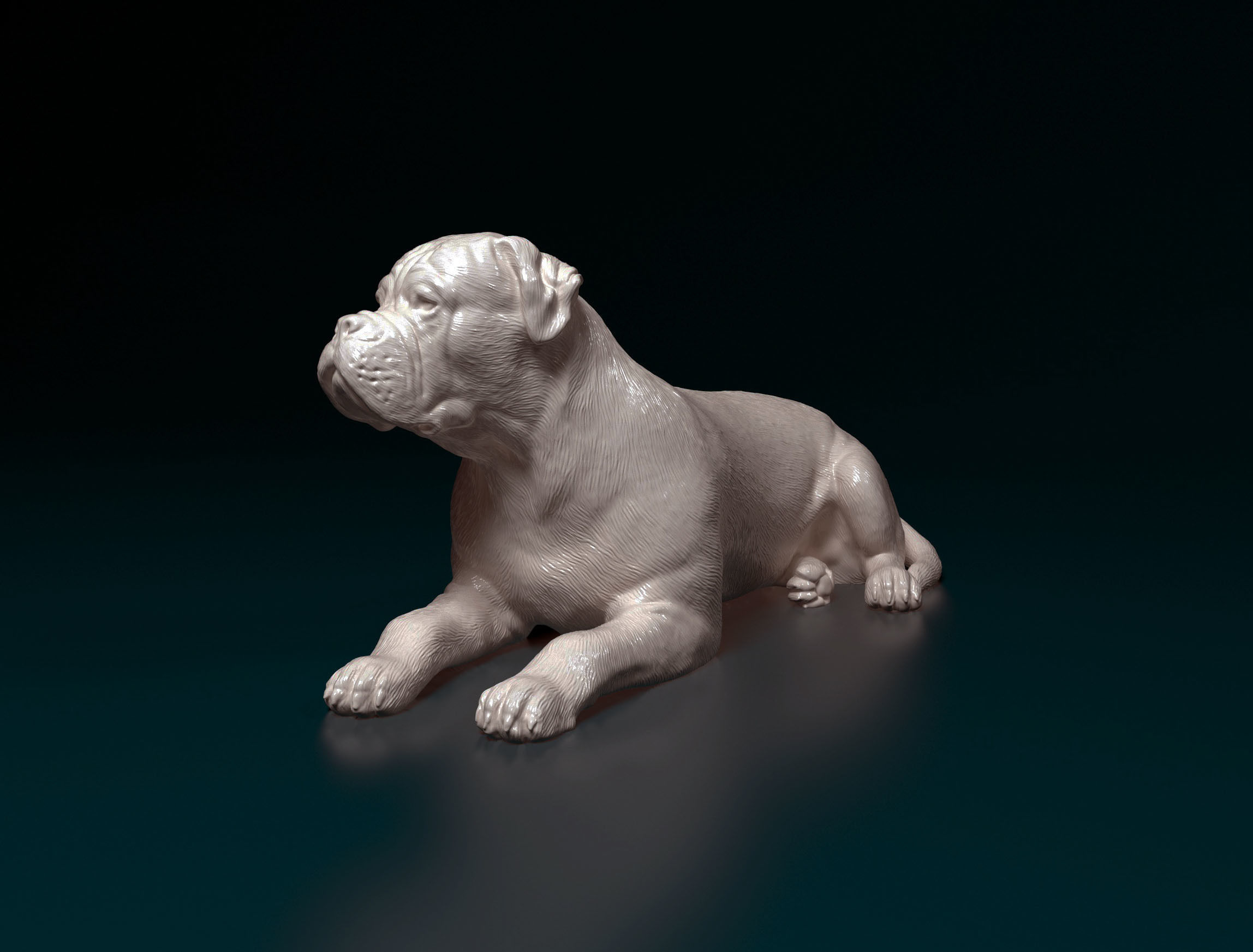 American Bulldog 3D print model_2