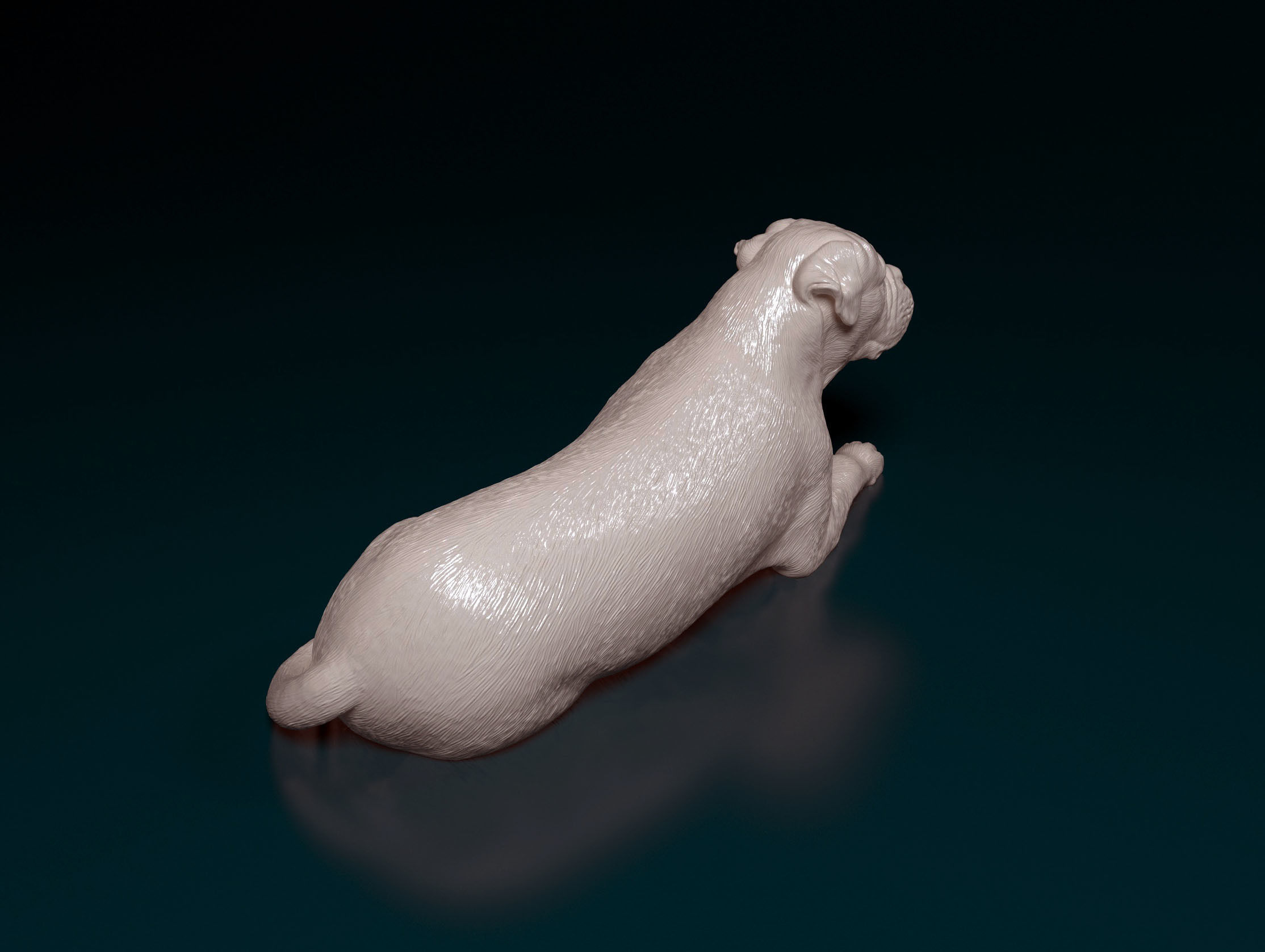 American Bulldog 3D print model_6