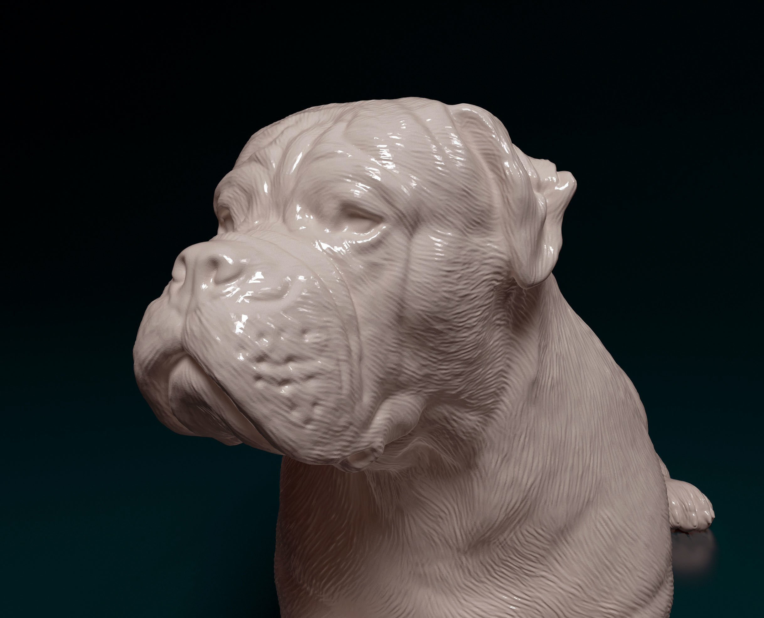 American Bulldog 3D print model_7