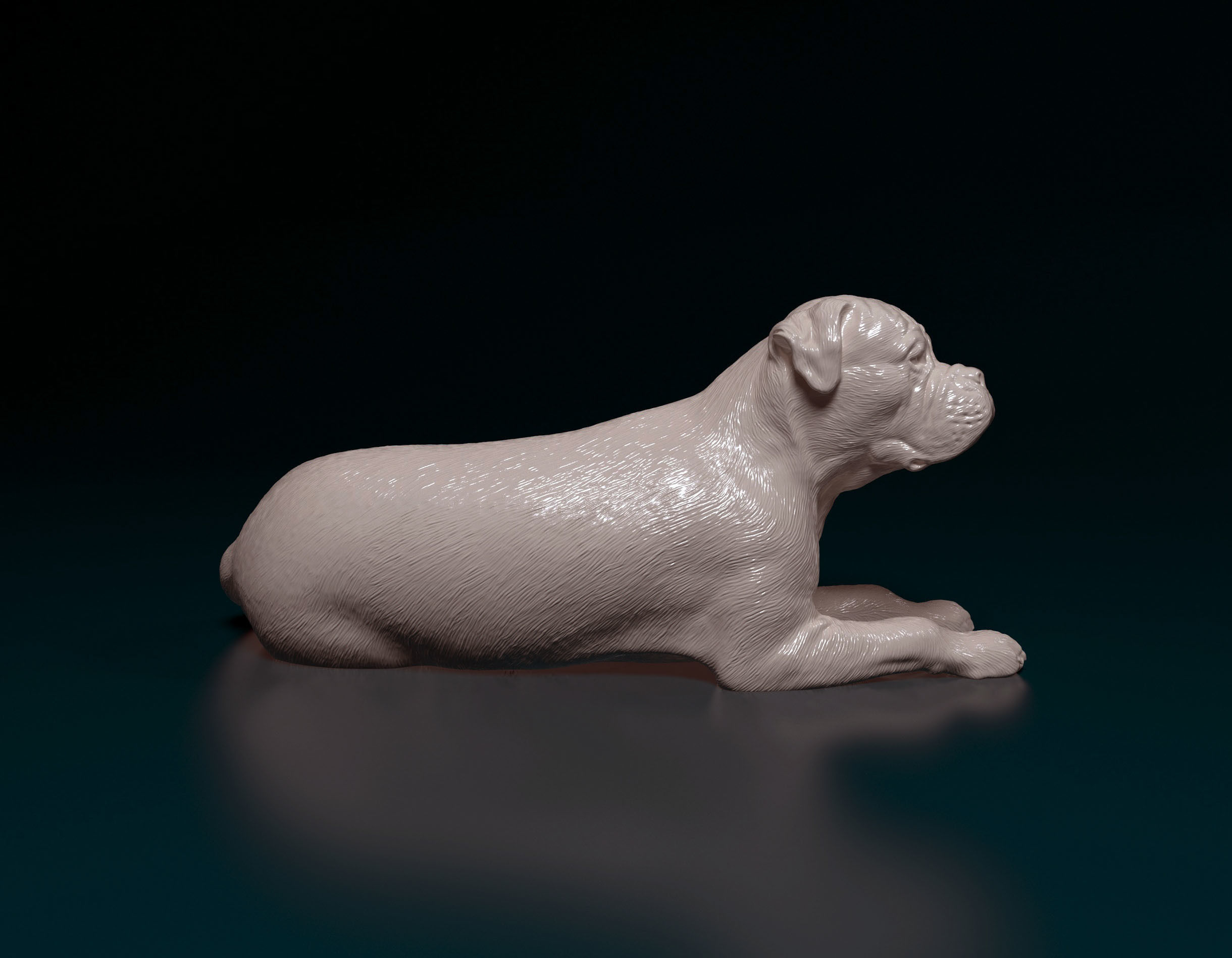 American Bulldog 3D print model_8