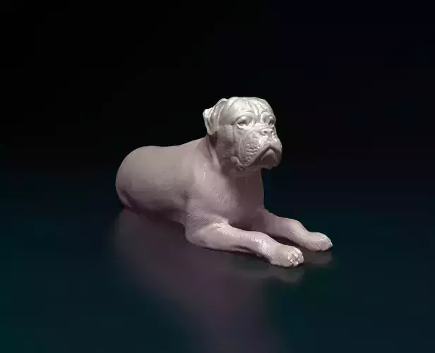 American Bulldog 3D print model