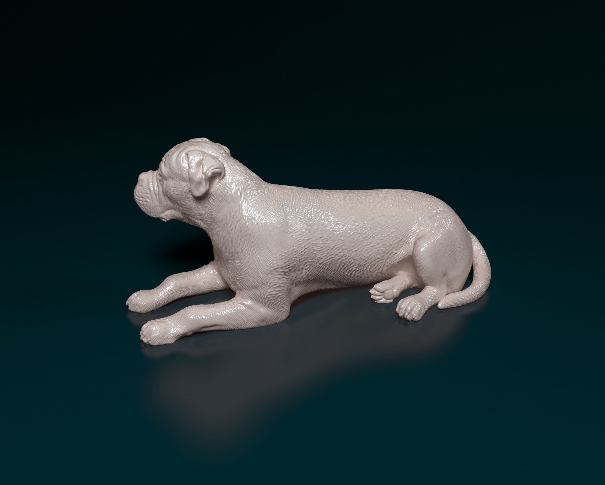 American Bulldog 3D print model_4