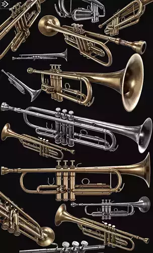 Trumpet   3 Types