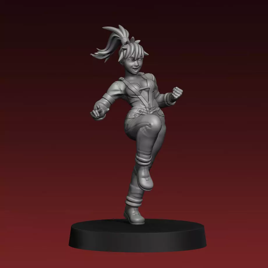 Nikaido Dorohedoro 3D Print Miniature 3D print model_0