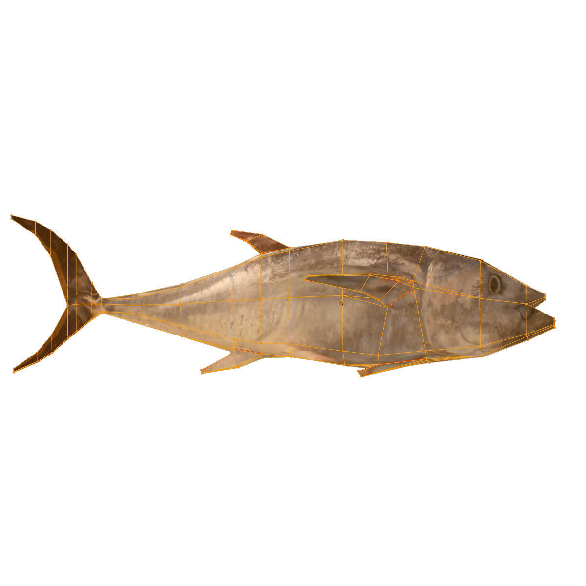 Lowpoly Great Tuna Low-poly 3D model_5