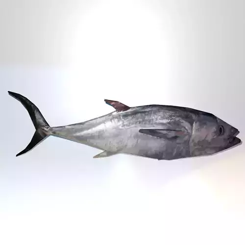 Lowpoly Great Tuna