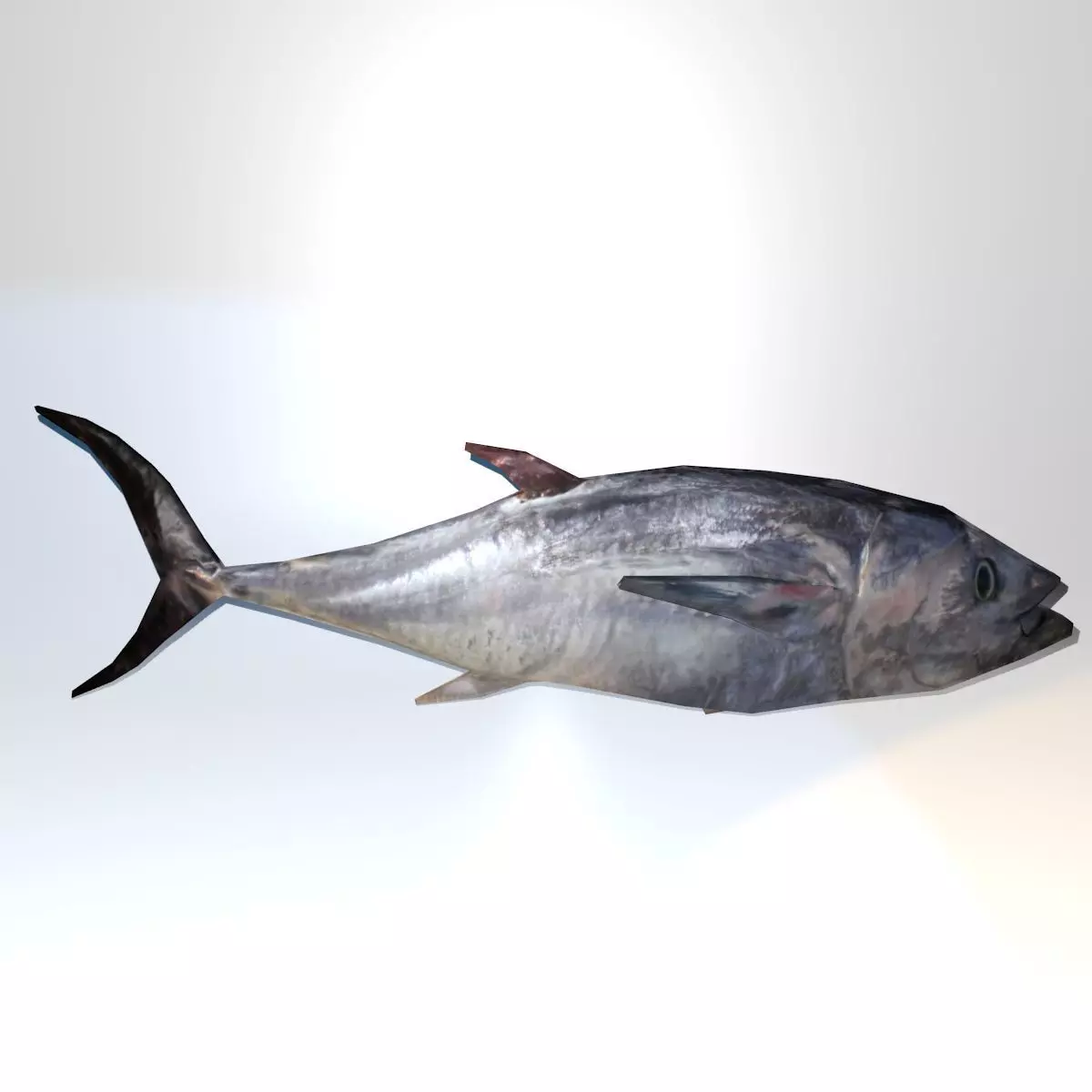 Lowpoly Great Tuna Low-poly 3D model_0