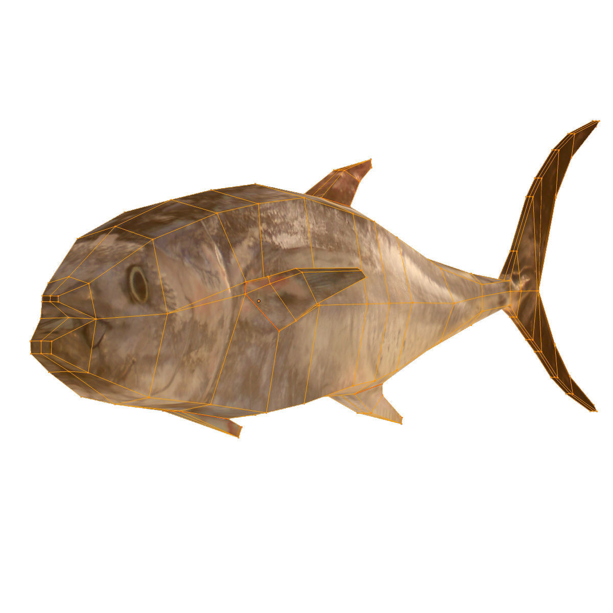 Lowpoly Great Tuna Low-poly 3D model_6