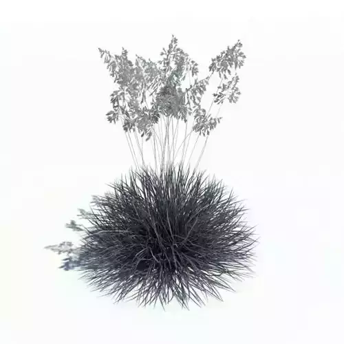 Plant With Grassy Bottom 3D model