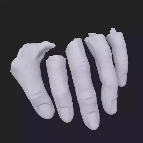 Severed Fingers 3D print model
