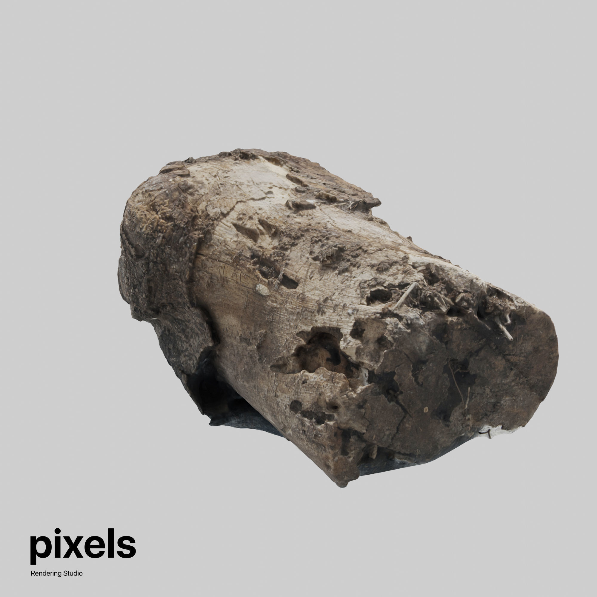 Tree Trunk 001 3D model_1