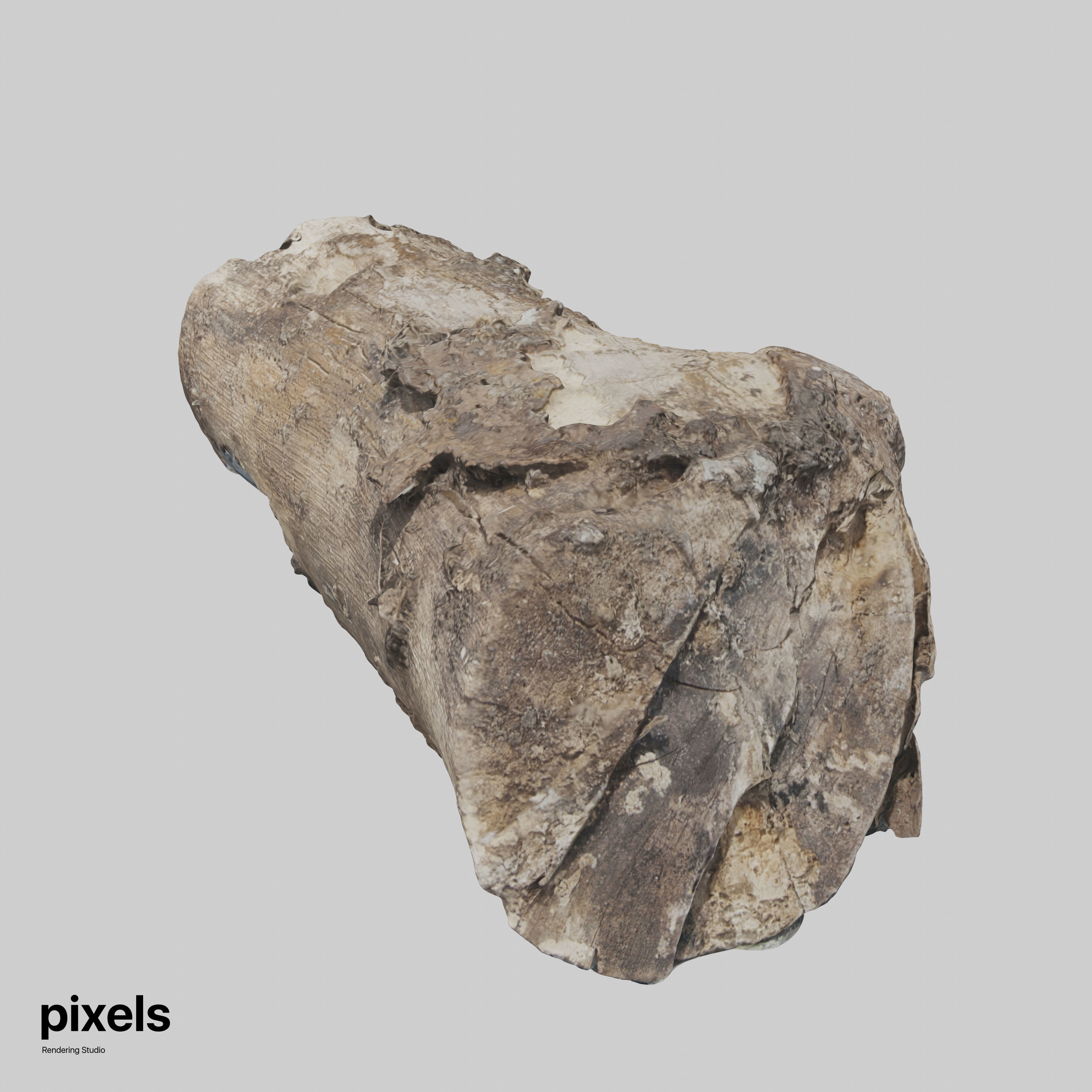 Tree Trunk 001 3D model_2